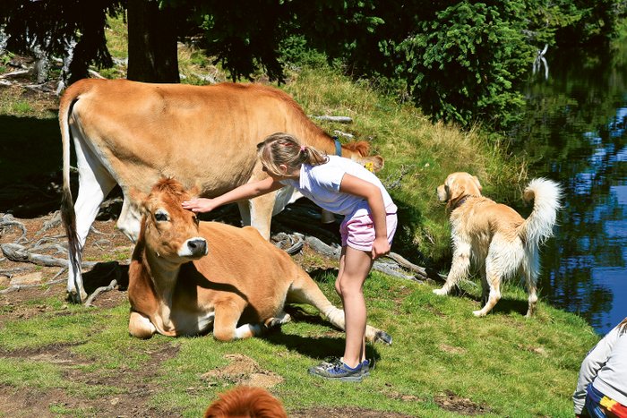 Ausflug Allgäu mit Kindern