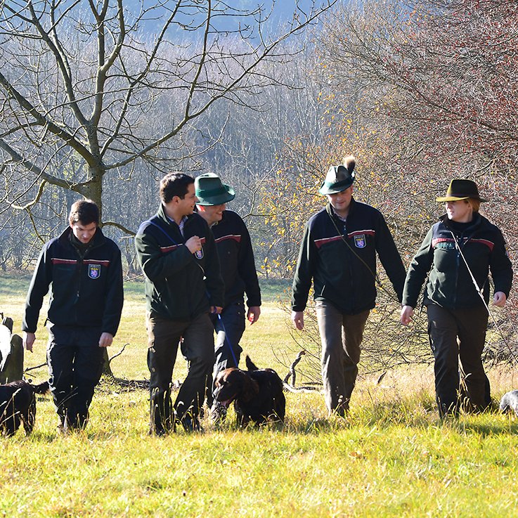 Förster von HessenForst laufen mit Hunden über eine Wiese