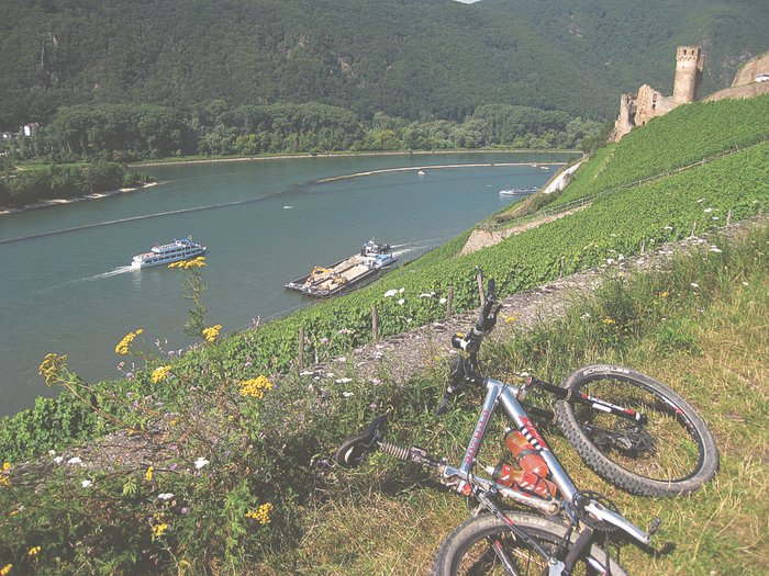 Ausflug 22 MTB-Touren Rheingau Rheinhessen