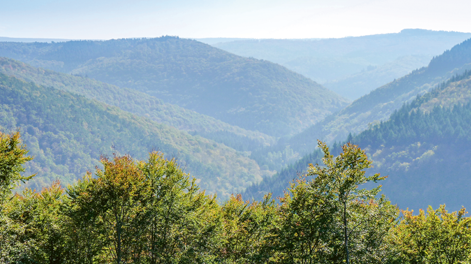 Vom Rheingau bis zum Taunus